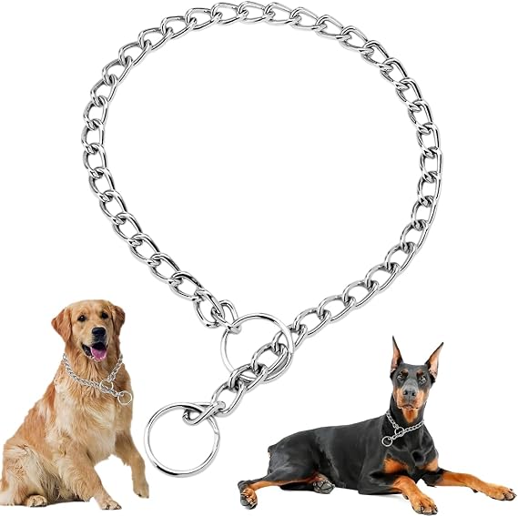 Silver Dog Chain Collar for Small Dogs, Metal Slip Chain Collars, Heavy Duty Martingale Puppy Collars for XXS XS Small Medium Large Breed Pets Dogs, XX-Small