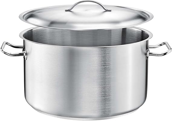 Medium Pot Diameter 24 cm with Lid Pro Capacity 6.5 L Height 15 cm Stainless Steel Layered Base for Induction and Hot Plates Dishwasher Safe