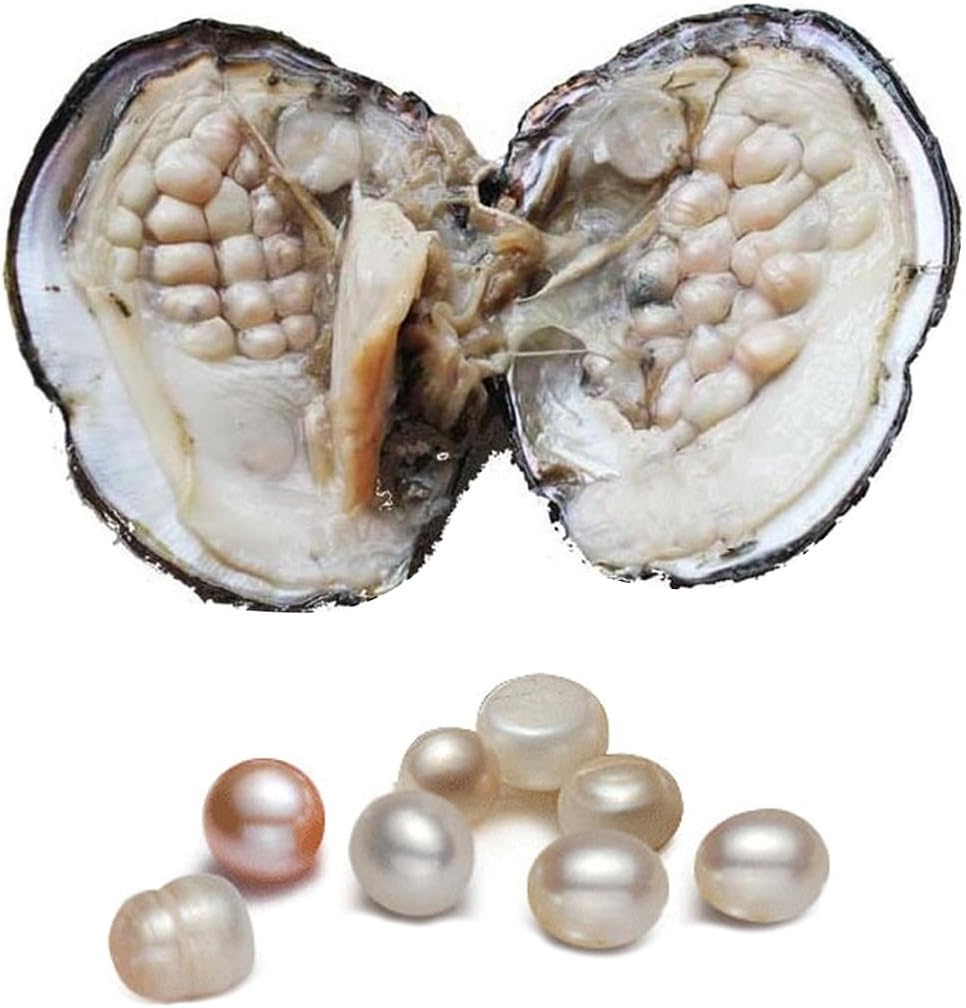 Oyster with Pearl Inside, Freshwater Cultured Oval Pearl Beads 5-7mm about 18pcs Pearls Gifts