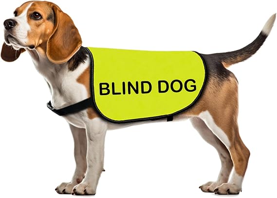 Blind Awareness Jacket for Visually Impaired Dogs - Blind Dog Vest (Small)
