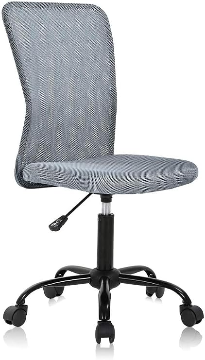 BLKMTY Home Office Chair, No Arms Small Desk Chairs, Mid Back Mesh Basic Computer Chairs Height Adjustable Small Swivel Office Chair No Armrest Rolling Swivel for Students, Grey