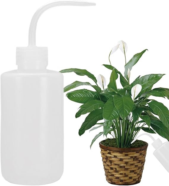 Safety Wash Bottle,250ml Safety Bottles Watering Tools - Flowing Well Squeeze Spout Bottle, Precise No Spill Lab Squeeze Narrow Mouth Cleanser for Dispensing Liquid, Cleaning, Washing