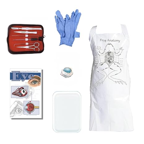 Anatomy Lab Cow Eye Dissection Kit with Scalpel Dissection Guide and Dissection Specimen for Biology College Anatomy