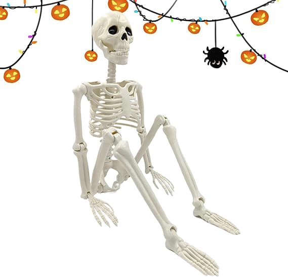 Halloween Skeleton Life Size 5ft Full Body Bone Movable Joints Scary Scenes Prop Party Favors Decoration Halloween Horror