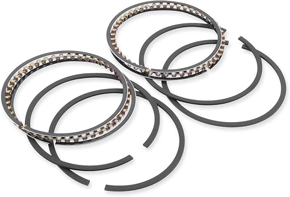 Hastings Piston Ring Set 6482060