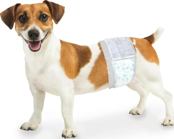 Four Paws Wee-Wee Disposable Male Dog Wraps, X-Small/Small, 36 Count