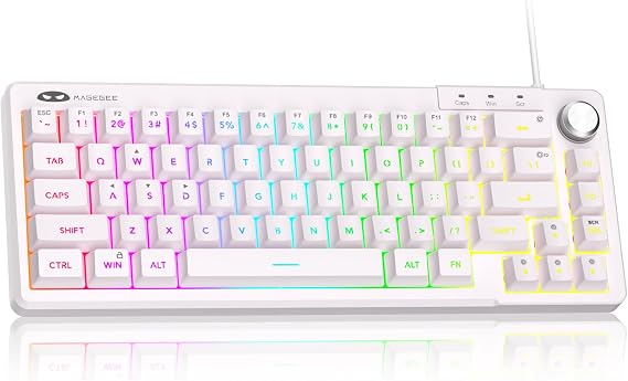 MageGee Mini 60% Gaming Keyboard RGB Backlit Ultra Compact Keyboard TS68 Ergonomic Waterproof Mechanical Feel Office Computer Keyboard for PC, Mac, PS4, Xbox ONE Gamer