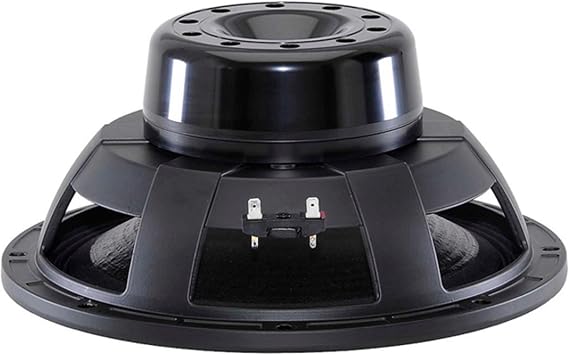 B&C Speaker 12NBX100-4 LF Driver 12" NEO MID BASS 4 Ohm 2000 Watt Copper Voice Coil 100mm 500W Rms 1000W Max Pro Audio Component Speaker Driver for Motorcycle Car