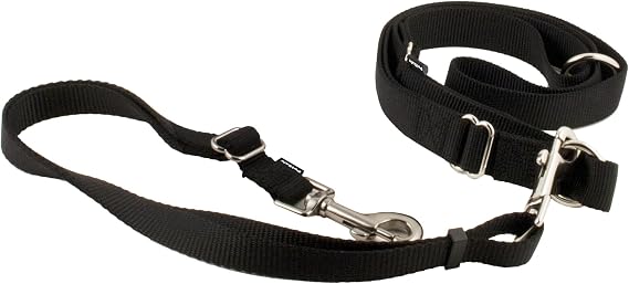 PetSafe Hands Free Dog Leash, Black