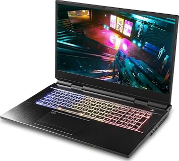 CUK Clevo X170 KMG 17 Inch Workstation Gaming Notebook Intel Core i9, 64GB RAM, 2TB NVMe SSD, NVIDIA GeForce RTX 3080 16GB, 17.3" FHD 300Hz, Windows 10 Pro Gamer Laptop Computer