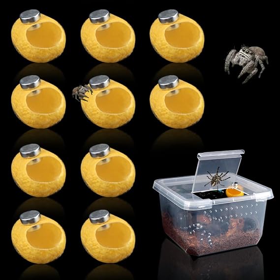 DQITJ 10 Pcs Silk Cocoons with Magnet Nest for Jumping Spider Silk Cocoon Spider Hide Jumping Spider Enclosure Accessories (Yellow)