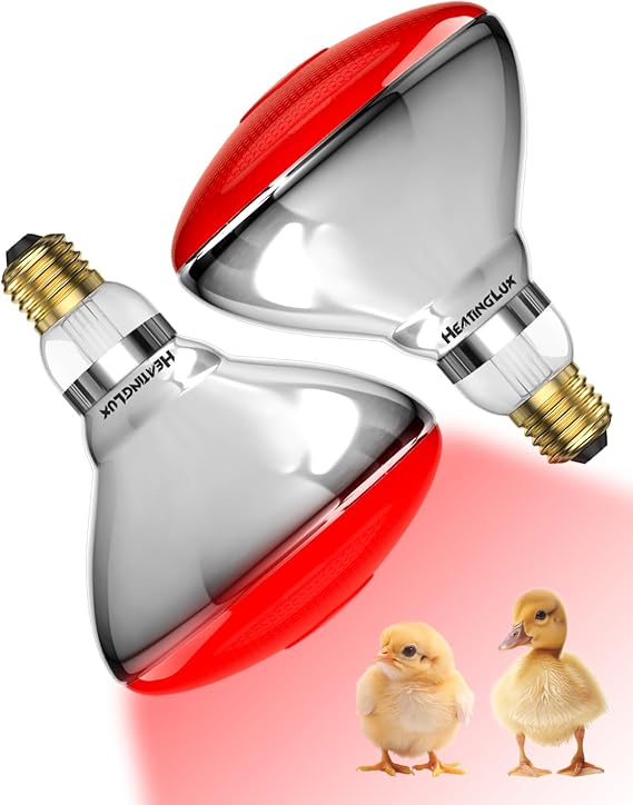 Infrared Lamp Bulb, 250W Heat Lamp Bulb for Chicken, E27 Heat Lamp | Red Heat Light Bulb for Brooder Coop, Food Service, Infrared Light Theraphy