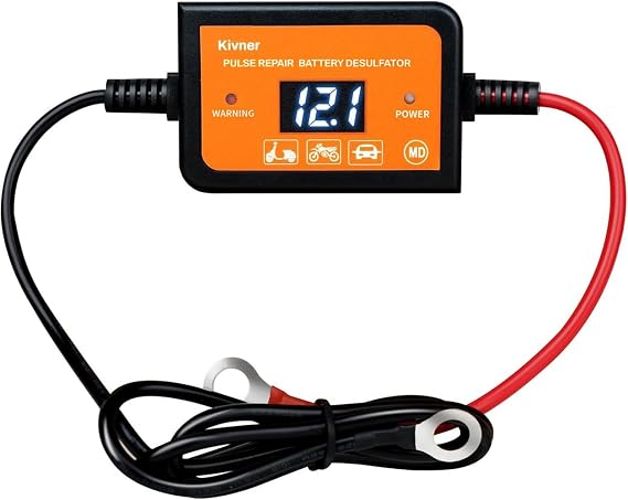 4A Battery Desulfator Lead-Acid Battery Desulfator 12V 24V 36V 48V Battery Regenerator Auto Pulse Desulfator Round Terminal