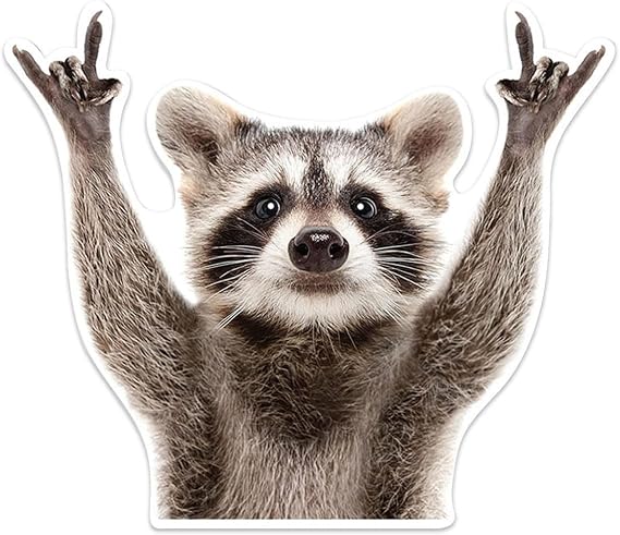 Rocking Raccoon Car Sticker Decal, Vinyl Window Bumper Sticker | 5.1" x 4.1" Funny Animal Pattern Decals, Waterproof Cute Vehicle Decoration Accessories for Wall Door Laptop Truck SUV