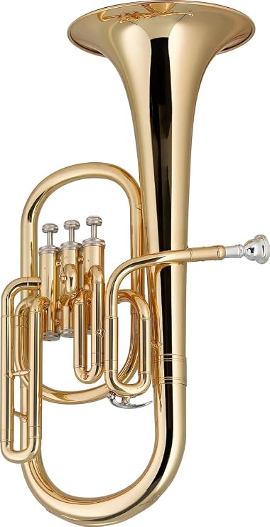 Stagg WS-AH235 Eb Alto Horn with Case