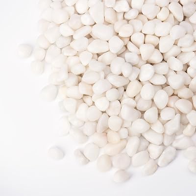 2.5 lbs White Pebbles for Vases, 38 Small Plant Stones for Pots Indoor, Pea Gravel for Succulents, Bamboo, Terrarium, High Polished