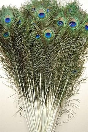 25 Pcs Natural Peacock Feathers 25"-40" (35"-40")