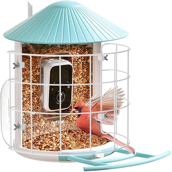 NETVUE by Birdfy Shield, Keep Out Birds' Predators, Must-Have Feeder Accessories - Only Work with NETVUE Birdfy Bird Feeder 1