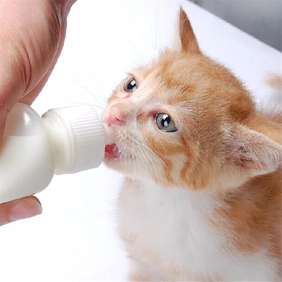 TİNEKE Kitten Dog Bottle 50 ml (1 Piece) with 2 Pacifiers