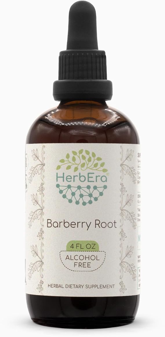 Barberry Root Alcohol-Free Herbal Extract Tincture, Concentrated Liquid Drops Natural Barberry (Berberis Vulgaris) (4 fl oz)