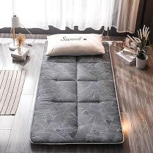 DaoGeSir Futon Mattress Thicken with Anti-Slip Bottom, Twin/Full/Queen/King Japanese Floor Mattress Tatami Foldable Sleeping Mattresses Camping Mattress (Color : 2, Size : Twin(100x200cm))