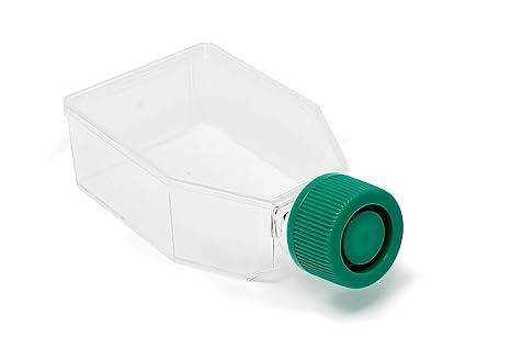 SPL Cell Culture Flask 25 cm2 (T25) Plug Cap Treated, Sterile, 200/Case