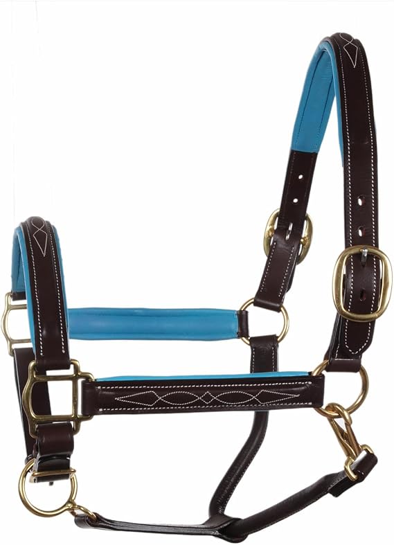 Leather Horse Halter with Brass Hardware, Pink and Black (Brown with Turquoise Padding, Cob)