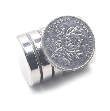 2/5/10/20 Pcs 25x5 Neodymium 25mm x 5mm NdFeB Round Super Permanent Magnetic imanes Disc 25x5 Magnets(10pcs)