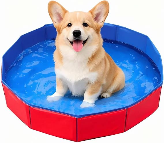 Dog Paddling Pool, Foldable Pool for Small Dogs, Rigid Plastic Paddling Pool for Pet Bathing, Compact 50 X 10 Cm Design, Durable Dog Swimming Pool, Small Paddling Pool 4ft Size, Plastic Pool for Outdo