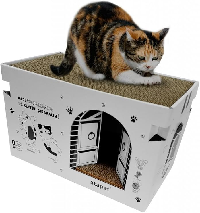 Karton Kedi Tırmalama ve Dinlenme Evi