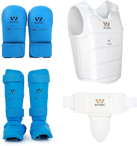 Wesing Karate Protective Gears Set with Chest Guard Gloves Groin Protection and Shin Instep Guard for Men
