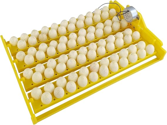 Egg Incubator Tray - Automatic Egg Turner - 88 Eggs Fully Automatic and Digital Incubator for Hatching Quail Pigeon Bird Poultry Bami | i