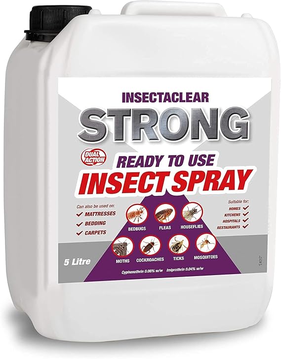 beetle killing poison Insectaclear Strong Phobi Dose RTU (5 Litres)
