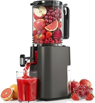 Cold Press Juicer, 5.5inch Wide Feed Chute Juicer Machine, Slow Masticating Juicer for Whole Vegetables & Fruits, Gray