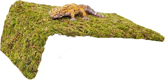 Reptile Moss Climbing Wall for Leopard Gecko, Adjustable Humidity Retaining Terrarium Background, Green Habitat Mat for Shedding Aid & Tank Decoration
