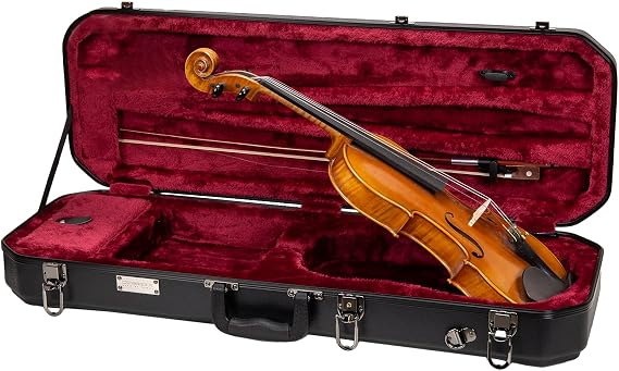 Crossrock Oblong Case fits 4/4 Full-Size Violin, Includes Interior Compartment, 2 Bow Holders, Security Lock, and Detachable Straps-Black (CRA860VFBK-R)