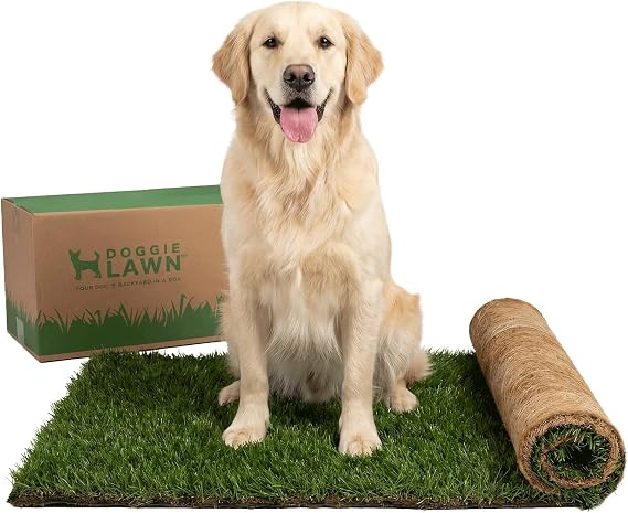 DoggieLawn XL Real Grass Puppy Pee Pads, Dog Litter Box Alternative 24x48