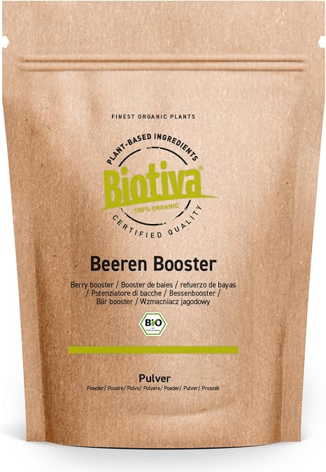 Organic Berry Booster Protein Powder 400 g - Vegan Superfood - Protein Acai Acerola & Maca - Beetroot & Ginger - No Added Sugar Gluten & Lactose - DE-ÖKO-005 - Biotiva