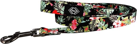 TETHER Straps Checkered Dog Leash | 6ft Waterproof & Fade-Resistant Polyester, Metal Hardware, Stylish Design | Hilo