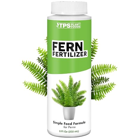Fern Fertilizer Liquid Plant Food for Fuller Fronds, Deep Green Color & Lush Growth, 8 oz