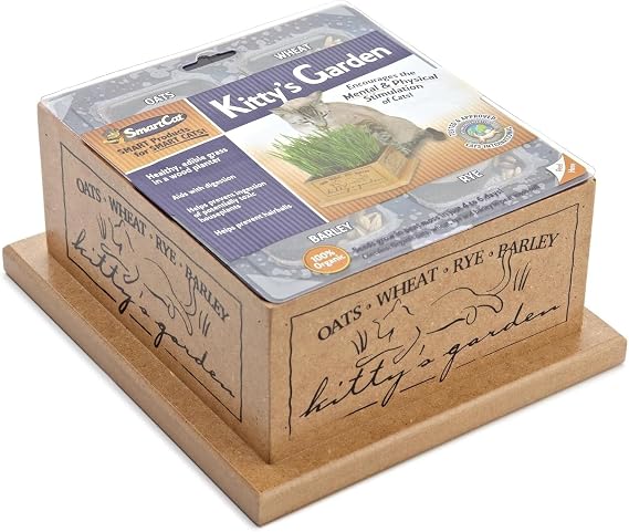 SmartCat 3844 Kittys Garden Edible Grass Planter