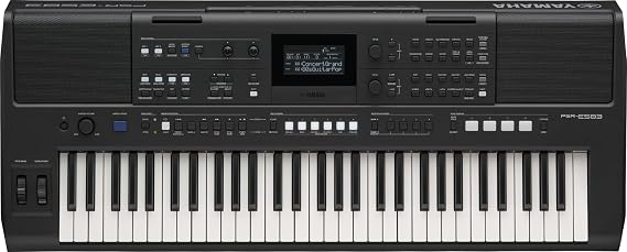YAMAHA PSR-E583 Keyboard - Modern High Performance Keyboard with 61 Sensitive Keys, 890 Voices, 345 Styles, Modulation Wheel and Powerful Speaker - Black