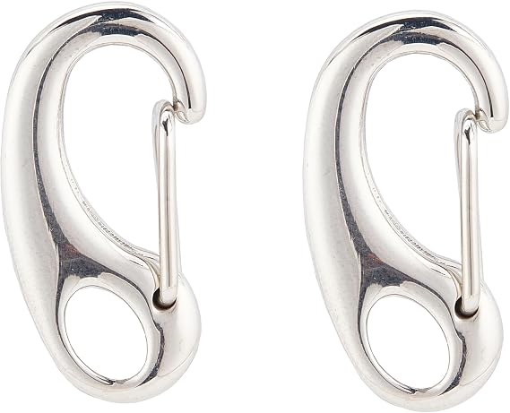 PH PandaHall 2 Pcs 304 Stainless Steel Eye Lobster Snap Clasp 1 inch Key Chain Keyring Connection Necklace Clasp Connector Bracelet Extension Jewelry Links Lobster Buckles for Jewelry Making