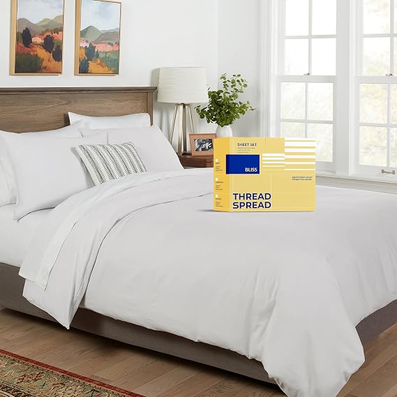 THREAD SPREAD Duvet Cover King Size - 600 Series 100% Egyptian Cotton Duvet Cover King (3 PC, Silver), Soft, Cooling, Durable Sateen Weave Comforter Protector, Zipper Closure with 7 Corner Ties
