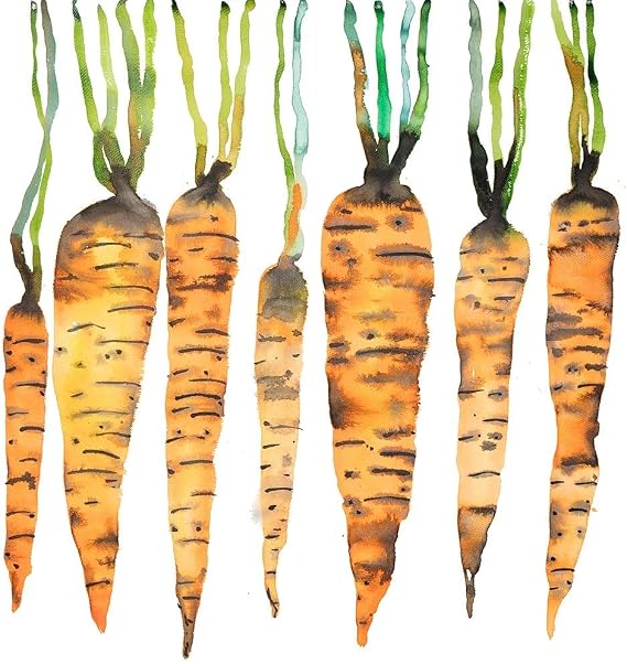 ArtExpert Watercolor Carrots by Atelier B Art Studio - 16x16 Art Print Poster