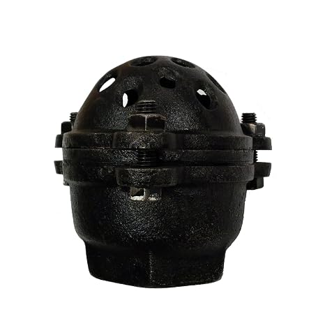 Herco Cast Iron 2" Foot Valve