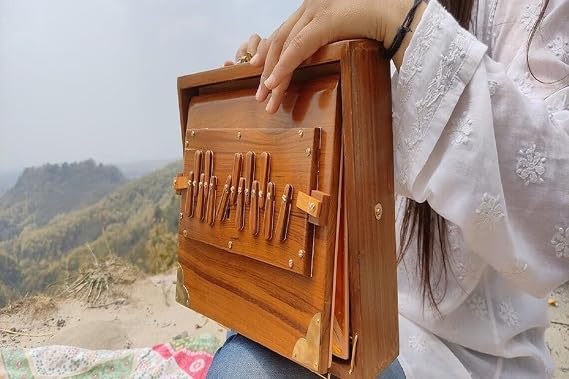 12"" Shruti Box with 13 note Tuned 432 Hertz Padded Carry Bag Made by Teak wood, BK455555555555