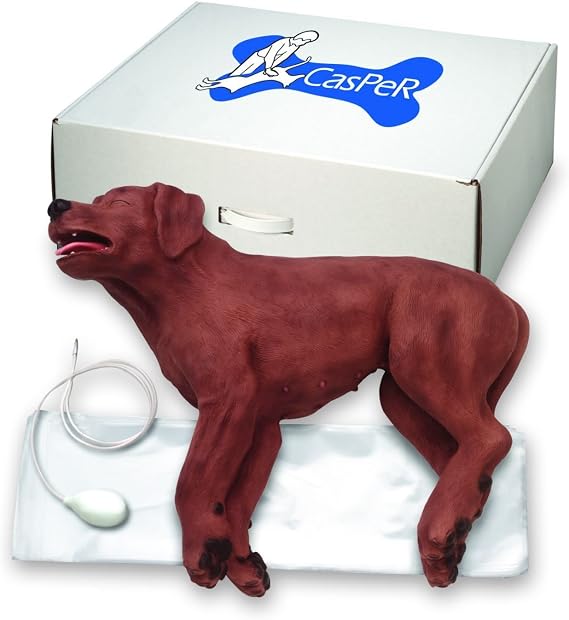 Simulaids CasPeR the CPR dog, canine CPR training manikin with pulse simulation, includes 100 airway systems and carry case