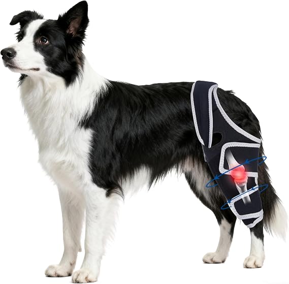 Dog Knee Brace for Torn Acl Hind Leg - Relieves Ligament Injury and Joint Pain, Adjustable Leg Support Bracket for Warmth and Support, Universal Dog Knee Brace for Four Legs,Size XL.