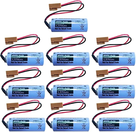 10 Pack BR-AG 3V Lithium Battery 1800mAh for with Plug